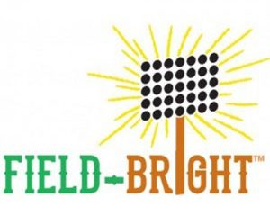 Field-Bright